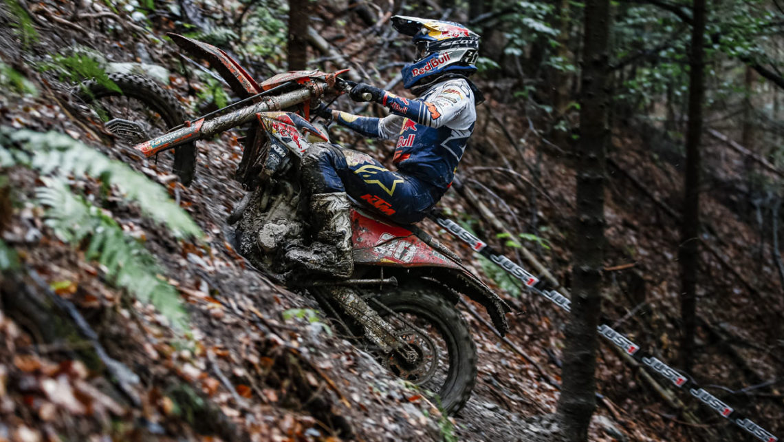 Josep García - Red Bull KTM Factory Racing